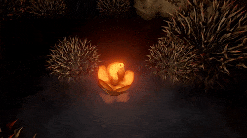 gif-4-07_lantern_flow_sdw.gif